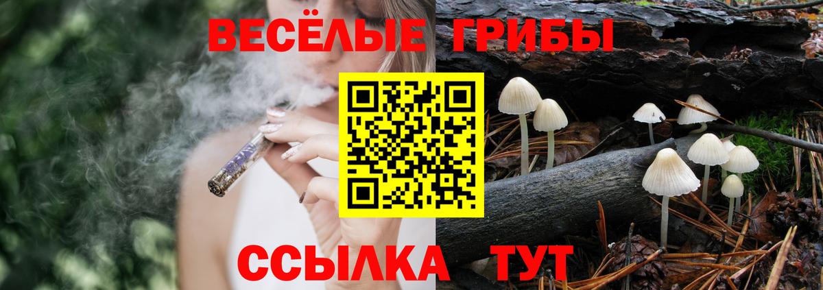 Галлюциногенные грибы MAGIC MUSHROOMS  Вход с VPN  наркотики  Артёмовский 